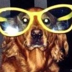 Meet your Posher, Rachelle